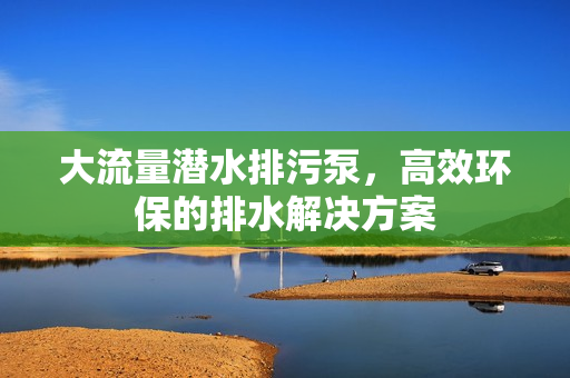 大流量潛水排污泵，高效環保的排水解決方案