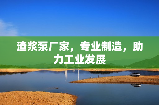 渣漿泵廠家，專業制造，助力工業發展