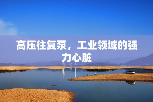 高壓往復泵，工業領域的強力心臟