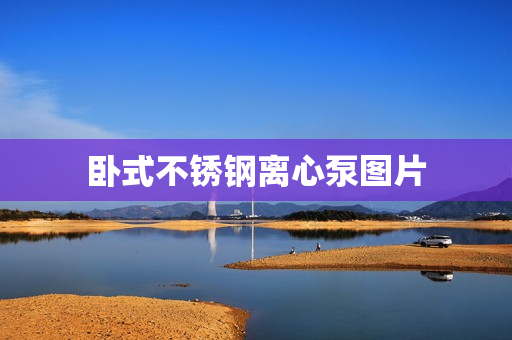 臥式不銹鋼離心泵圖片