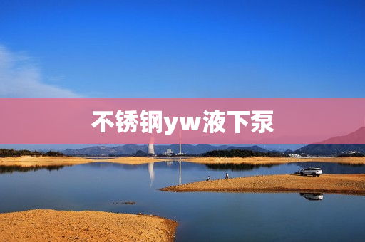 不銹鋼yw液下泵