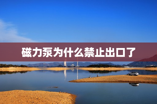 磁力泵為什么禁止出口了