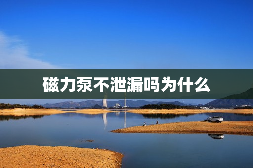 磁力泵不泄漏嗎為什么