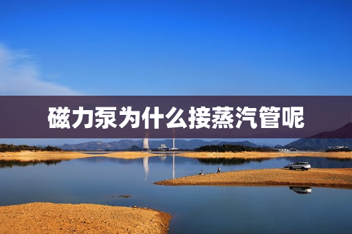 磁力泵為什么接蒸汽管呢