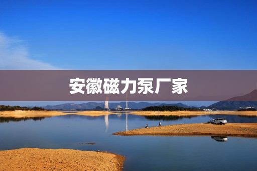 安徽磁力泵廠家