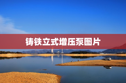 鑄鐵立式增壓泵圖片