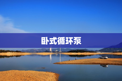 臥式循環(huán)泵 臥式循環(huán)泵