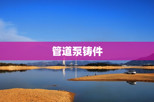 管道泵鑄件 管道泵鑄件