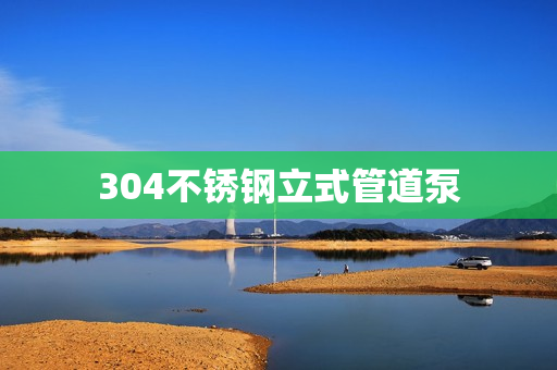 304不銹鋼立式管道泵 304不銹鋼立式管道泵