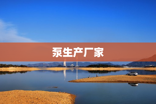 泵生產廠家 泵生產廠家