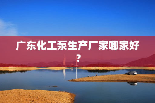 廣東化工泵生產廠家哪家好？