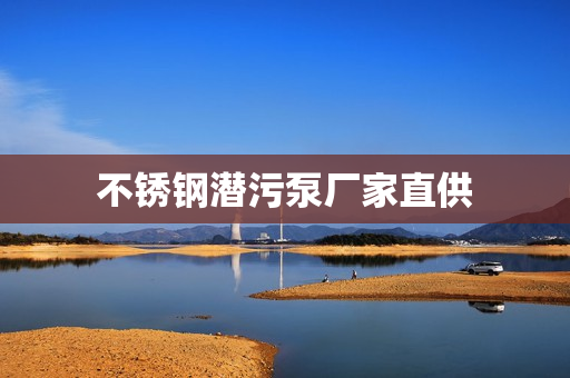 不銹鋼潛污泵廠家直供