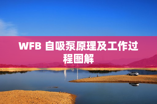 WFB 自吸泵原理及工作過程圖解 WFB 自吸泵原理及工作過程圖解