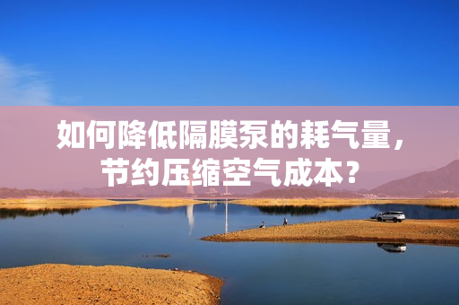 如何降低隔膜泵的耗氣量，節約壓縮空氣成本？