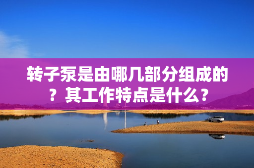 轉子泵是由哪幾部分組成的？其工作特點是什么？