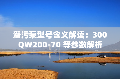 潛污泵型號含義解讀：300QW200-70 等參數(shù)解析