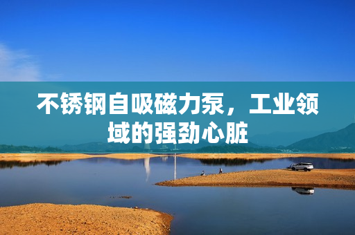 不銹鋼自吸磁力泵,工業(yè)領(lǐng)域的強勁心臟 不銹鋼自吸磁力泵,工業(yè)領(lǐng)域的強勁心臟
