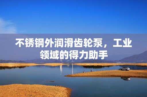 不銹鋼外潤滑齒輪泵，工業領域的得力助手