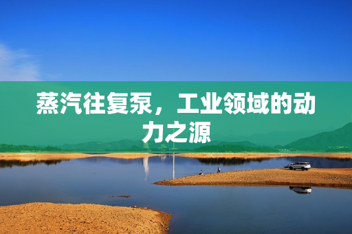 蒸汽往復泵，工業領域的動力之源