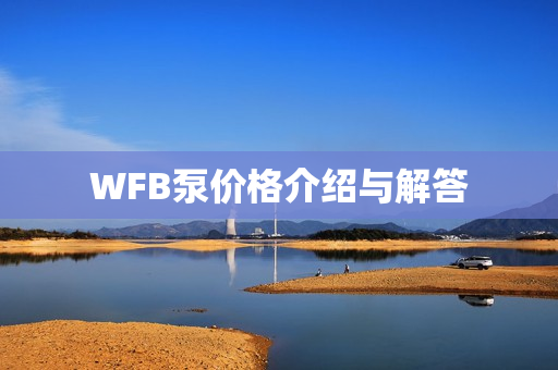 WFB泵價格介紹與解答