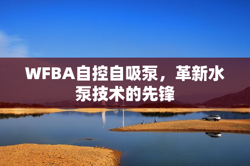 WFBA自控自吸泵，革新水泵技術的先鋒