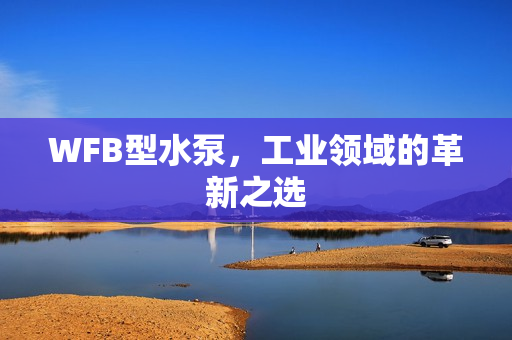 WFB型水泵,工業領域的革新之選 WFB型水泵,工業領域的革新之選