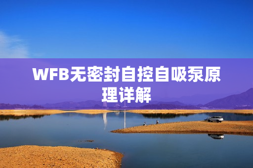 WFB無(wú)密封自控自吸泵原理詳解 WFB無(wú)密封自控自吸泵原理詳解