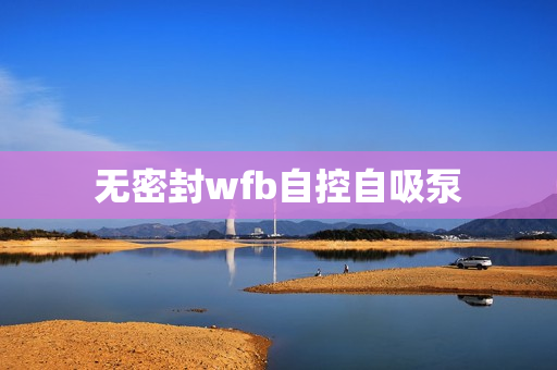 無密封wfb自控自吸泵