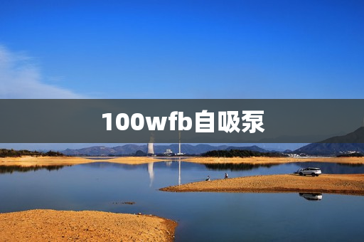 100wfb自吸泵