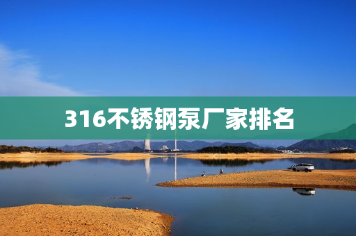 316不銹鋼泵廠家排名