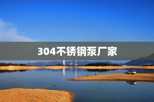 304不銹鋼泵廠家