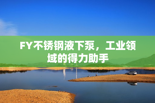 FY不銹鋼液下泵，工業(yè)領(lǐng)域的得力助手