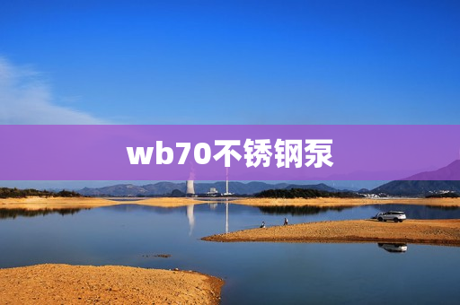 wb70不銹鋼泵