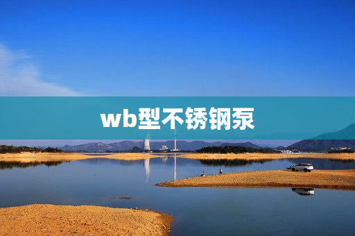 wb型不銹鋼泵