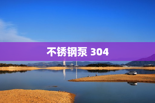 不銹鋼泵 304