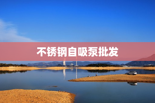 不銹鋼自吸泵批發(fā) 不銹鋼自吸泵批發(fā)